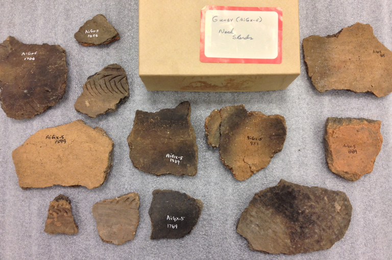 Neck and shoulder sherds from the Gunby Site showing Borden Number and catalogue number. 